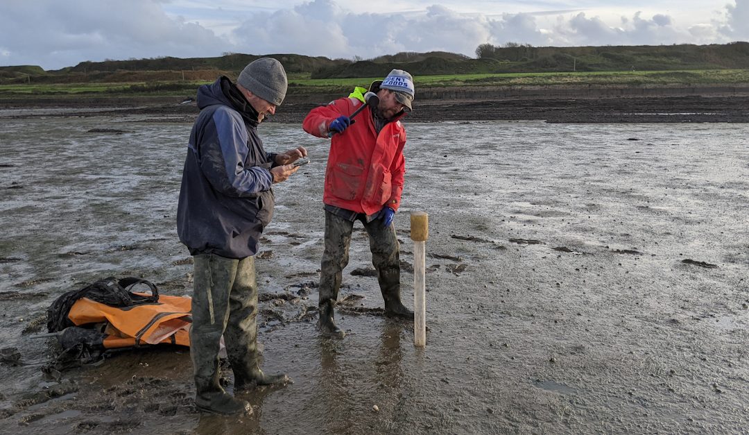 – Dated Mud Cores – Milford Haven Waterway